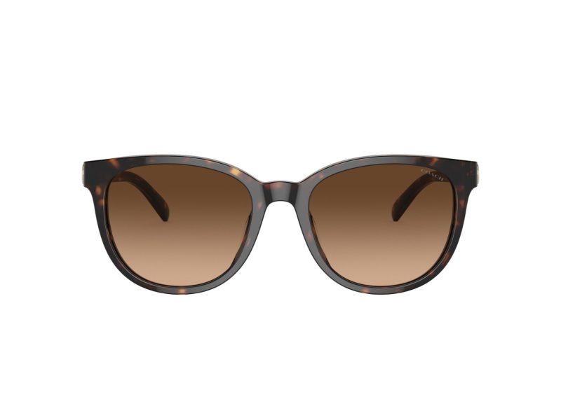 Coach Cd478 Lunettes de Soleil HC 8350U 512074
