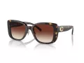 Coach Cd472 Lunettes de Soleil HC 8352 512013