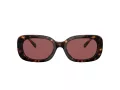 Coach Cd471 Lunettes de Soleil HC 8358U 512069