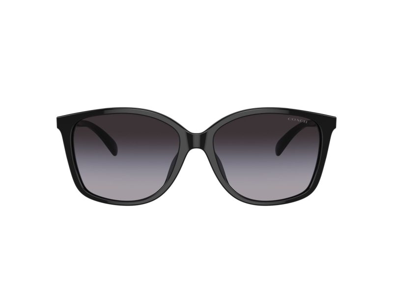 Coach Ch558 Lunettes de Soleil HC 8361U 50028G
