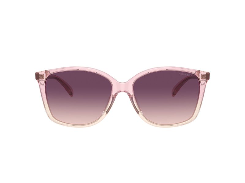 Coach Ch558 Lunettes de Soleil HC 8361U 57387W