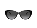 Coach Ch563 Lunettes de Soleil HC 8362U 50028G