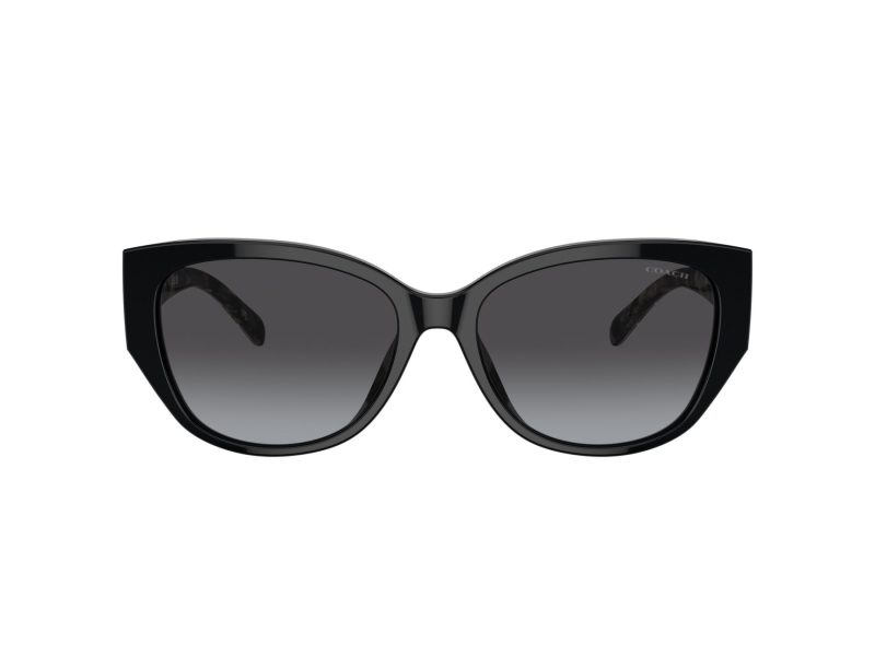 Coach Ch563 Lunettes de Soleil HC 8362U 50028G