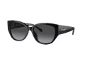 Coach Ch563 Lunettes de Soleil HC 8362U 50028G