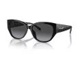 Coach Ch563 Lunettes de Soleil HC 8362U 50028G