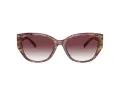 Coach Ch563 Lunettes de Soleil HC 8362U 57398H