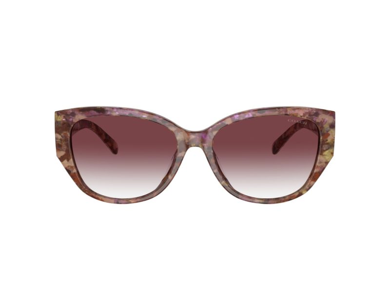 Coach Ch563 Lunettes de Soleil HC 8362U 57398H