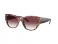 Coach Ch563 Lunettes de Soleil HC 8362U 57398H