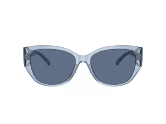 Coach Ch563 Lunettes de Soleil HC 8362U 574080