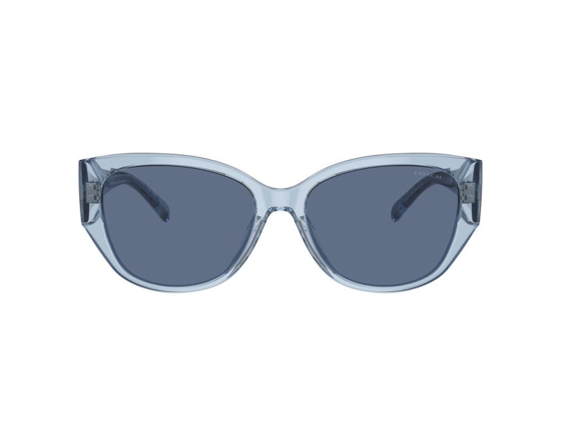 Coach Ch563 Lunettes de Soleil HC 8362U 574080