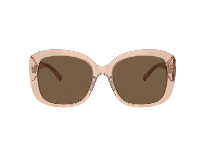 Coach Ch564 Lunettes de Soleil HC 8363U 556173