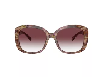Coach Ch564 Lunettes de Soleil HC 8363U 57398H