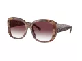 Coach Ch564 Lunettes de Soleil HC 8363U 57398H