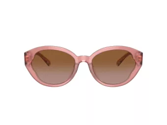 Coach Ch569 Lunettes de Soleil HC 8364U 574313