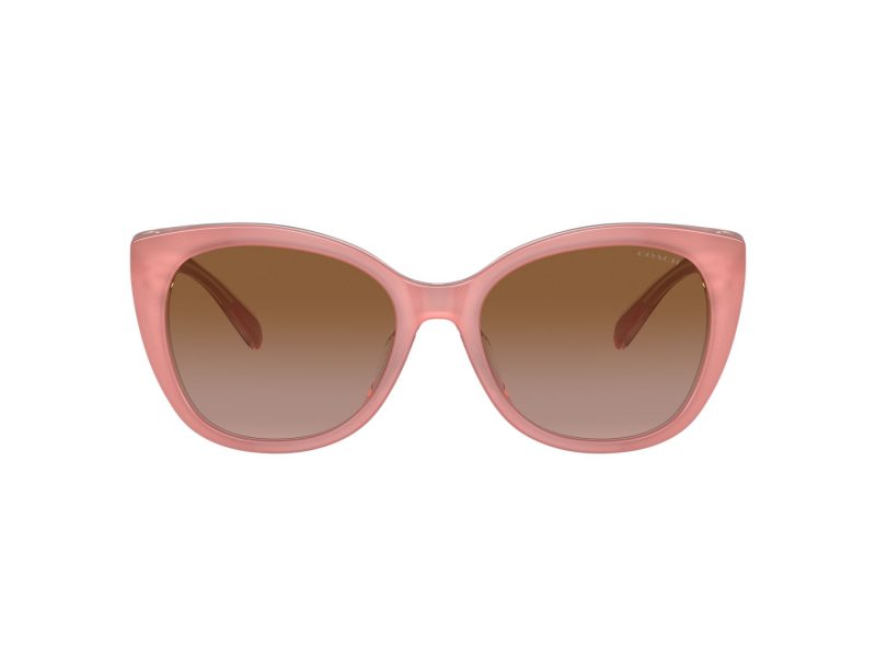 Coach Ch566 Lunettes de Soleil HC 8365U 574313