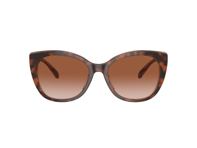 Coach Ch566 Lunettes de Soleil HC 8365U 574413