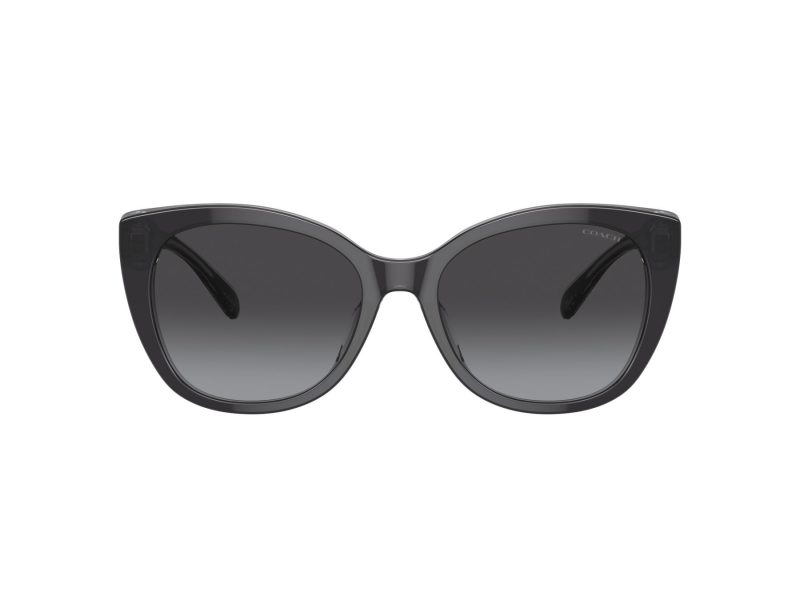 Coach Ch566 Lunettes de Soleil HC 8365U 57458G