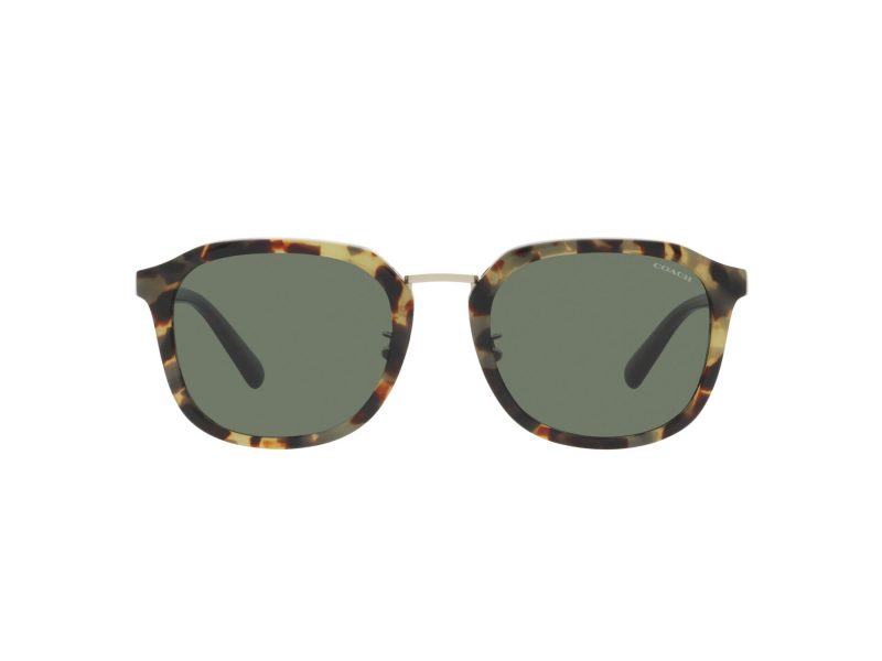 Coach Ch577 Lunettes de Soleil HC 8366 53243H