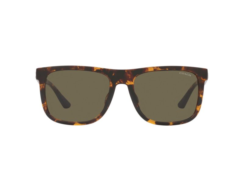 Coach Ch581 Lunettes de Soleil HC 8367U 51203