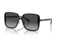 Coach Ch572 Lunettes de Soleil HC 8368D 50028G