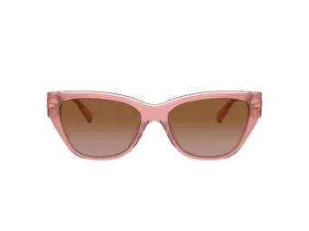 Coach Ch570 Lunettes de Soleil HC 8370U 574313