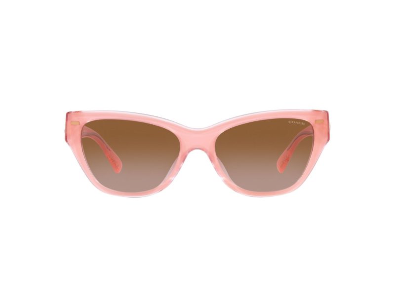 Coach Ch570 Lunettes de Soleil HC 8370U 574313