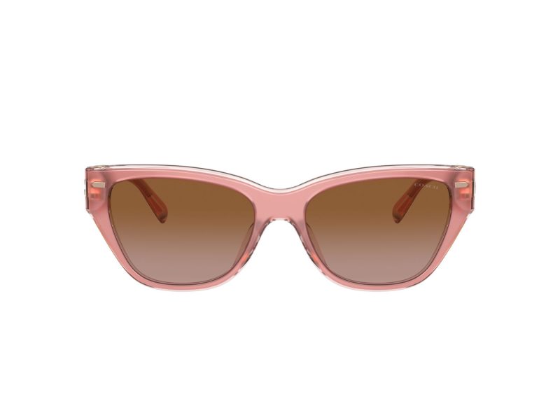 Coach Ch570 Lunettes de Soleil HC 8370U 574313