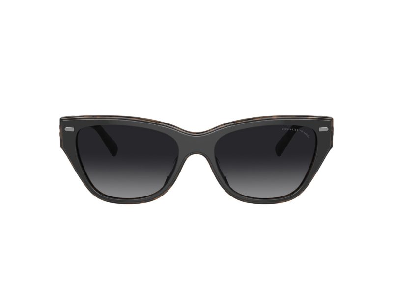 Coach Ch570 Lunettes de Soleil HC 8370U 5764T3
