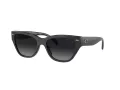 Coach Ch570 Lunettes de Soleil HC 8370U 5764T3