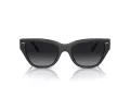 Coach Ch570 Lunettes de Soleil HC 8370U 5764T3