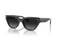 Coach Ch570 Lunettes de Soleil HC 8370U 5764T3
