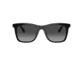 Coach Ch561 Lunettes de Soleil HC 8374U 50028G