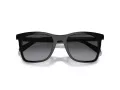 Coach Ch561 Lunettes de Soleil HC 8374U 50028G