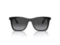 Coach Ch561 Lunettes de Soleil HC 8374U 50028G