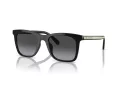 Coach Ch561 Lunettes de Soleil HC 8374U 50028G