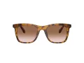 Coach Ch561 Lunettes de Soleil HC 8374U 512013