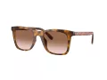 Coach Ch561 Lunettes de Soleil HC 8374U 512013