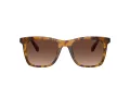 Coach Ch561 Lunettes de Soleil HC 8374U 5120T5