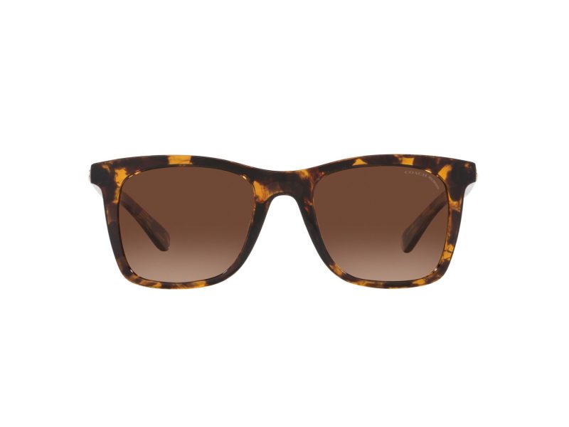 Coach Ch561 Lunettes de Soleil HC 8374U 5120T5