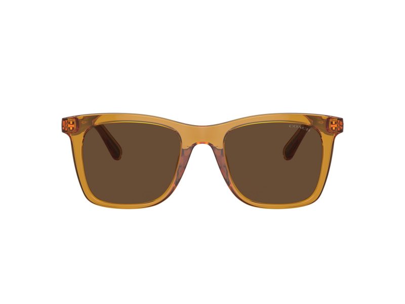 Coach Ch561 Lunettes de Soleil HC 8374U 57483G