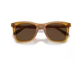 Coach Ch561 Lunettes de Soleil HC 8374U 57483G