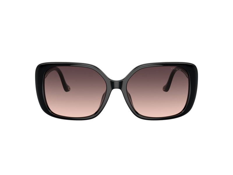 Coach Cl929 Lunettes de Soleil HC 8376U 5002U8