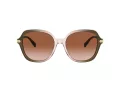Coach Cl925 Lunettes de Soleil HC 8377U 540013