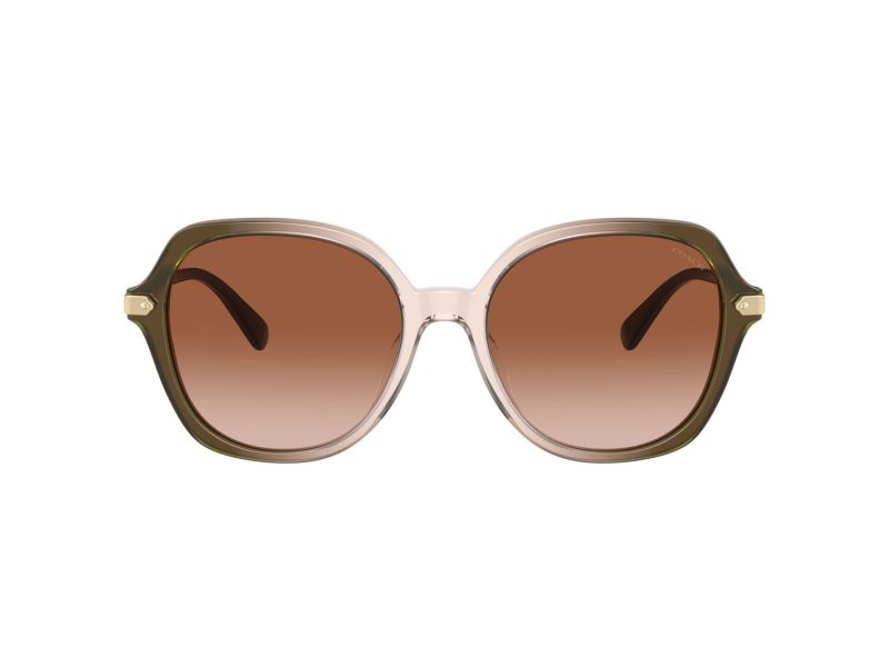 Coach Cl925 Lunettes de Soleil HC 8377U 540013