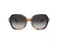 Coach Cl925 Lunettes de Soleil HC 8377U 577613