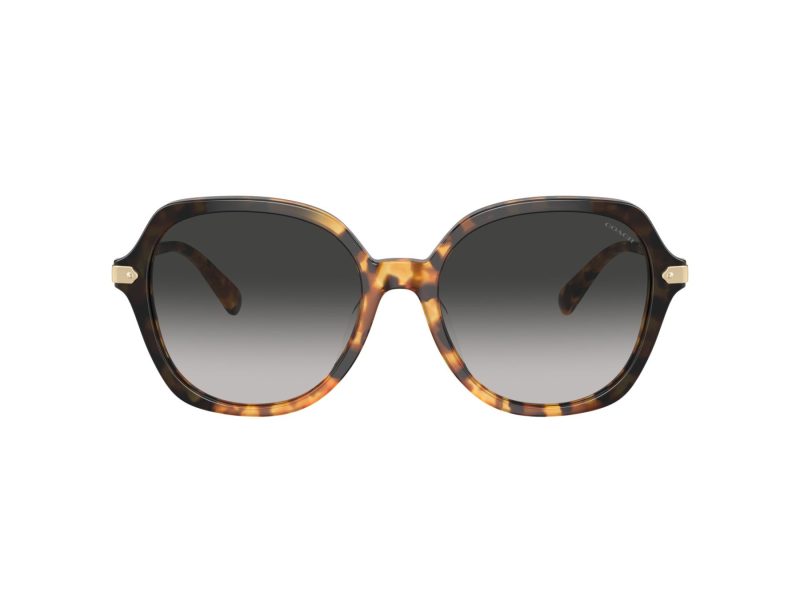 Coach Cl925 Lunettes de Soleil HC 8377U 577613