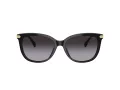 Coach Cl926 Lunettes de Soleil HC 8378U 50028G