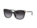 Coach Cl926 Lunettes de Soleil HC 8378U 50028G