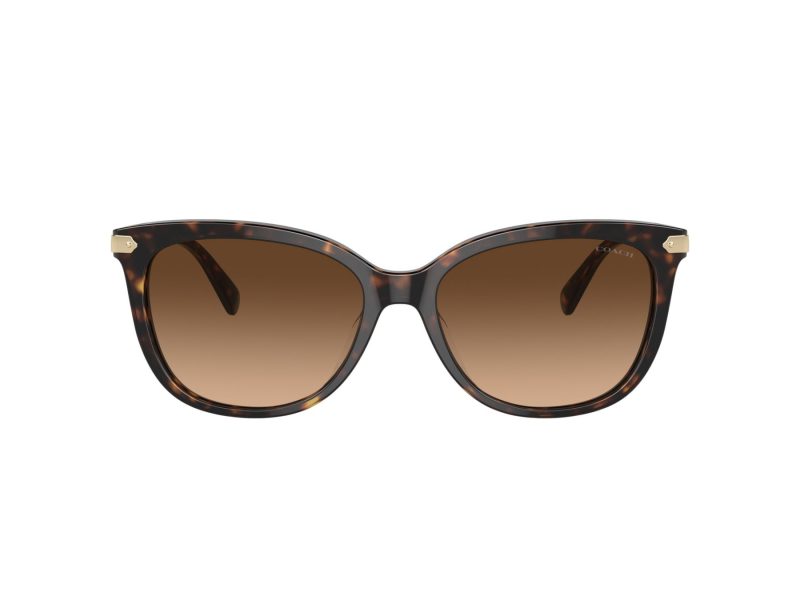 Coach Cl926 Lunettes de Soleil HC 8378U 512074