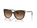 Coach Cl926 Lunettes de Soleil HC 8378U 512074
